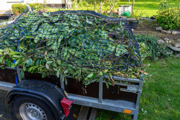 Best Moving and Downsizing Cleanouts  in Cape Coral, FL